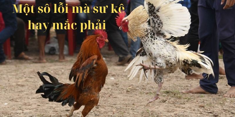 Một số lỗi mà sư kê hay mắc phải