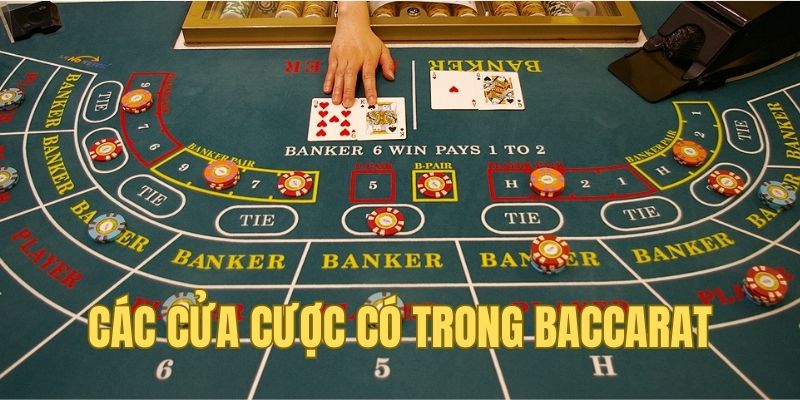 Ba cửa cược đơn giản có trong trò chơi Baccarat