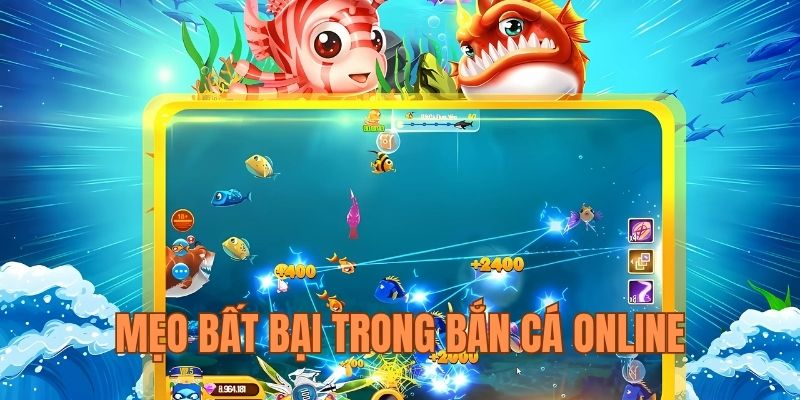 Mẹo chơi siêu hiệu quả dành cho ngư phủ mới bắt đầu