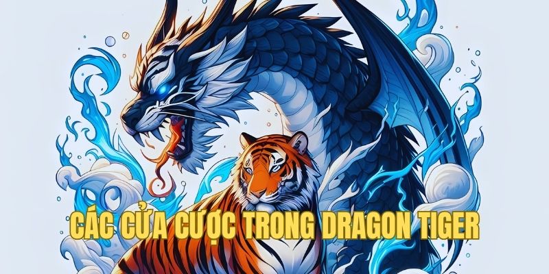 Các cửa chơi có trong Dragon Tiger OK365