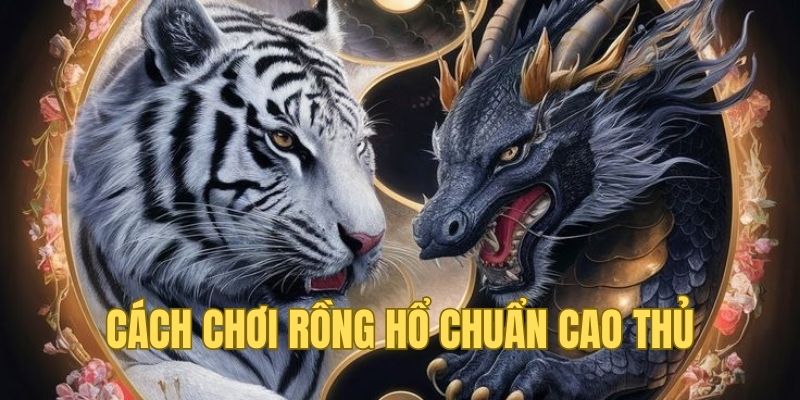 Sơ lược về thế giới Dragon Tiger OK365