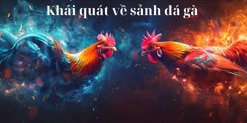 Giới thiệu sảnh đá gà gây sốt tại ok365