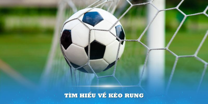 Các dạng cược rung mà người chơi có thể gặp