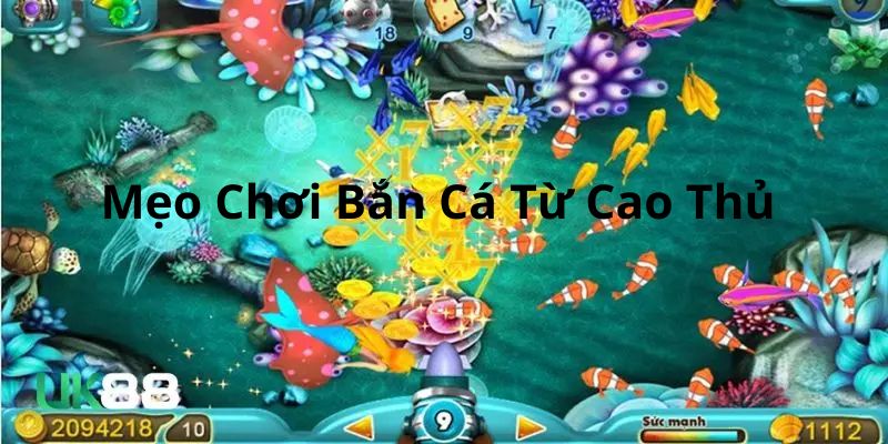 Một số mẹo chơi bắn cá hiểu quả từ cao thủ