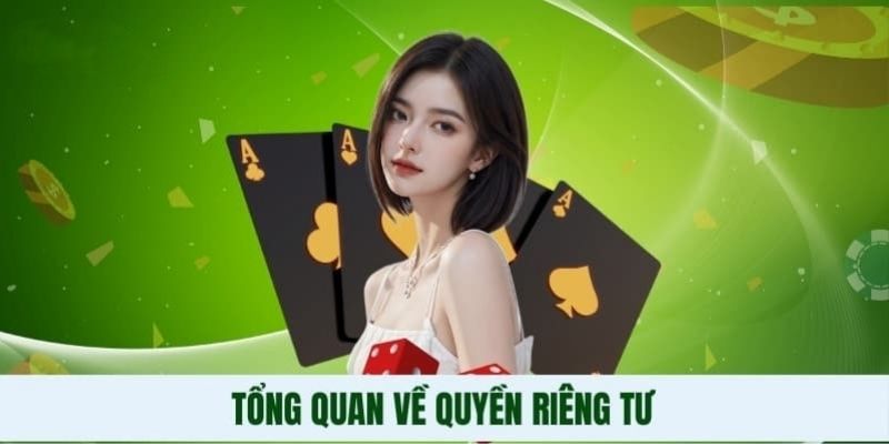 Tổng quan về vai trò của quy định quyền riêng tư