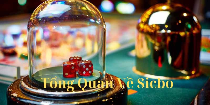 Giới thiệu vài nét về sicbo